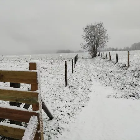 Le Grand D'angelique En Normandie - 4 Personnes *